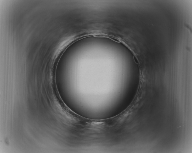 X0000103500055200809191955