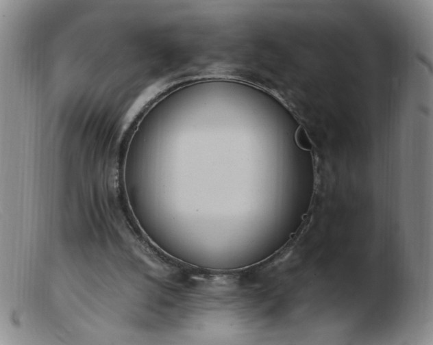 X0000103500056200809191955