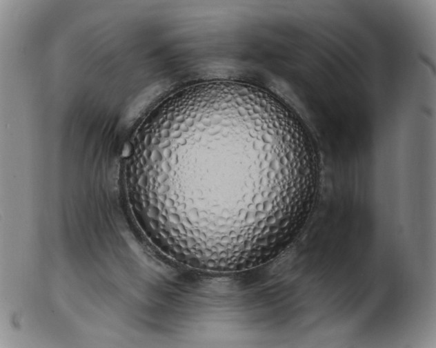 X0000103500058200809191955