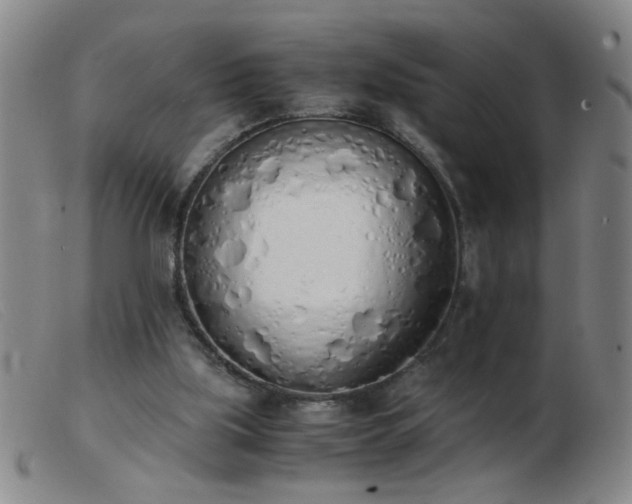 X0000103500059200809191955