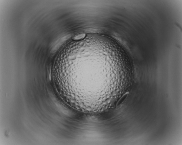 X0000103500062200809191955