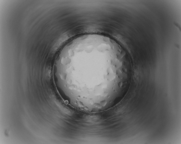 X0000103500063200809191955