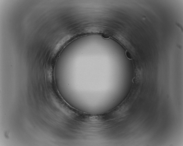 X0000103500064200809191955