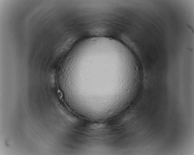 X0000103500065200809191955