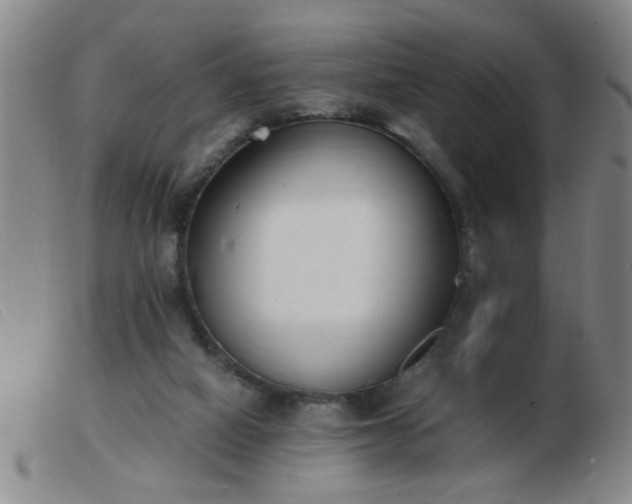 X0000103500066200809191955