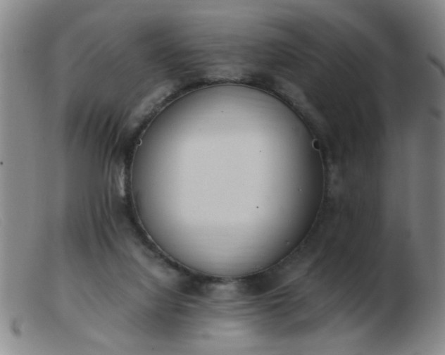 X0000103500068200809191955