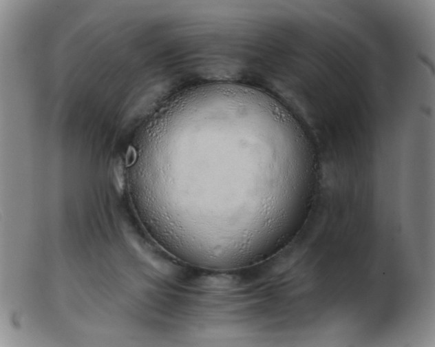 X0000103500069200809191955