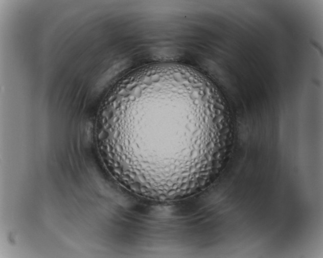 X0000103500071200809191955