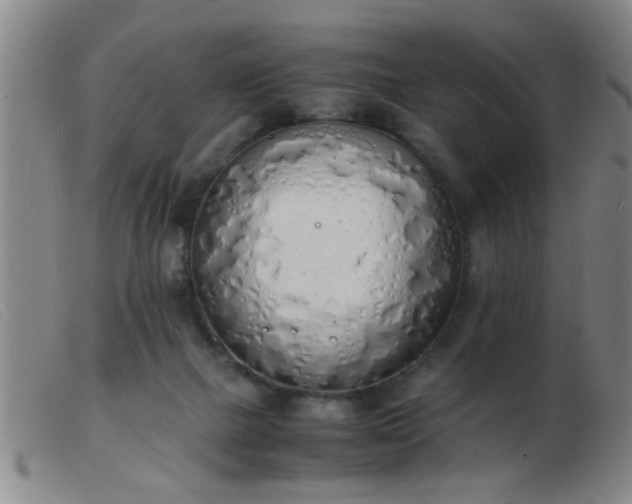 X0000103500073200809191955