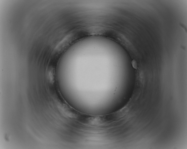 X0000103500074200809191955