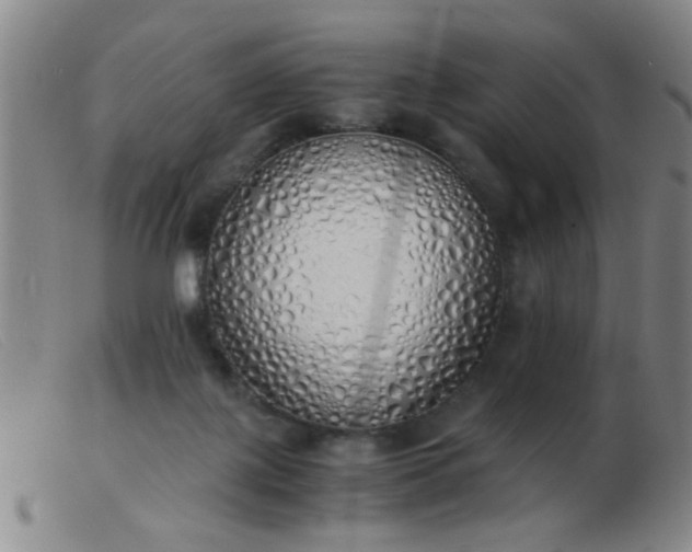 X0000103500075200809191955