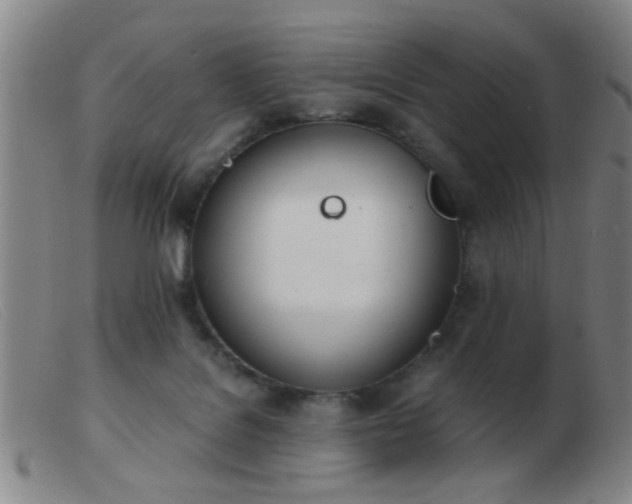 X0000103500076200809191955