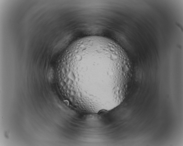 X0000103500077200809191955