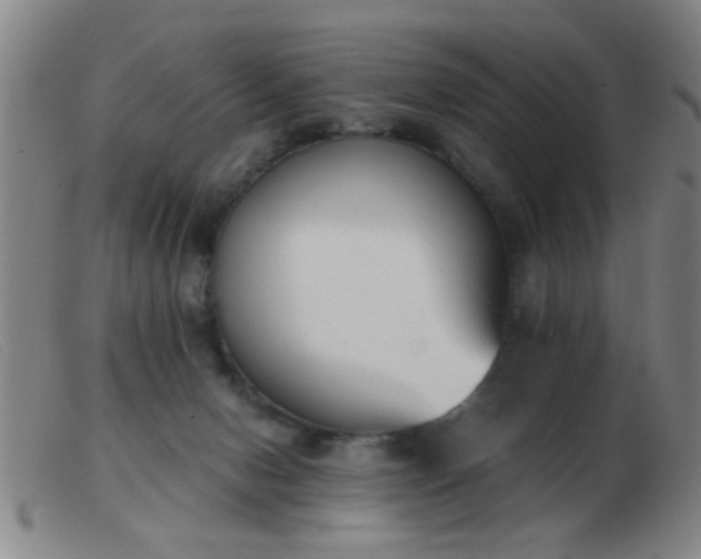 X0000103500078200809191955