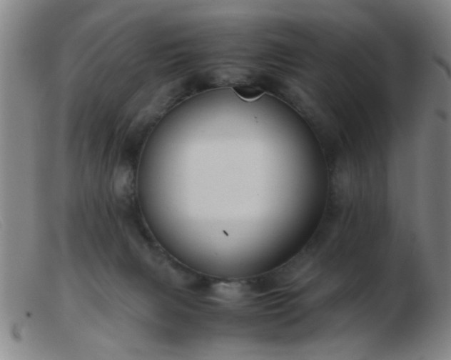 X0000103500079200809191955