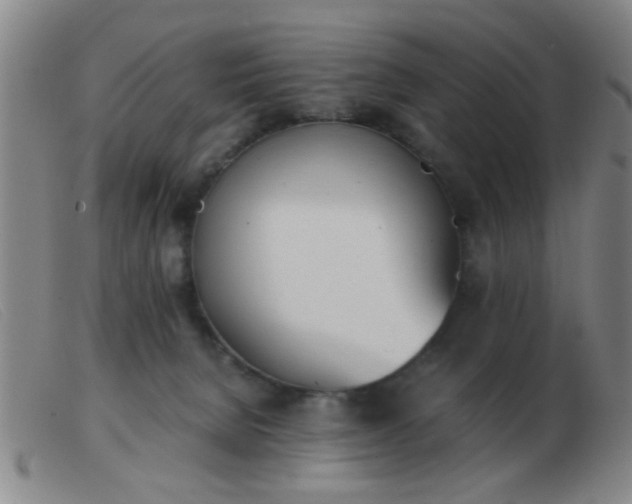 X0000103500080200809191955