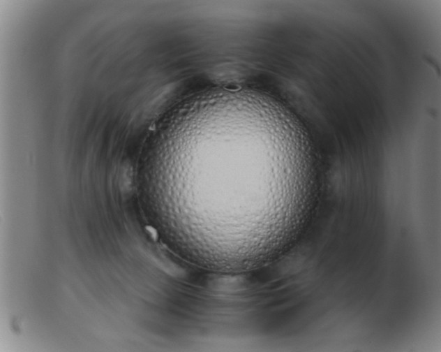 X0000103500081200809191955