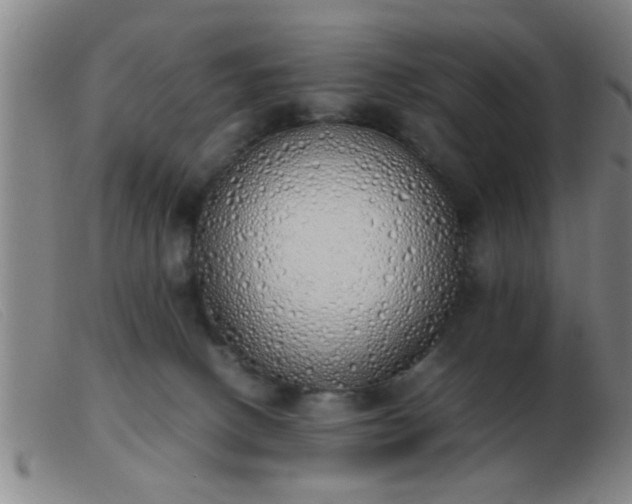 X0000103500082200809191955