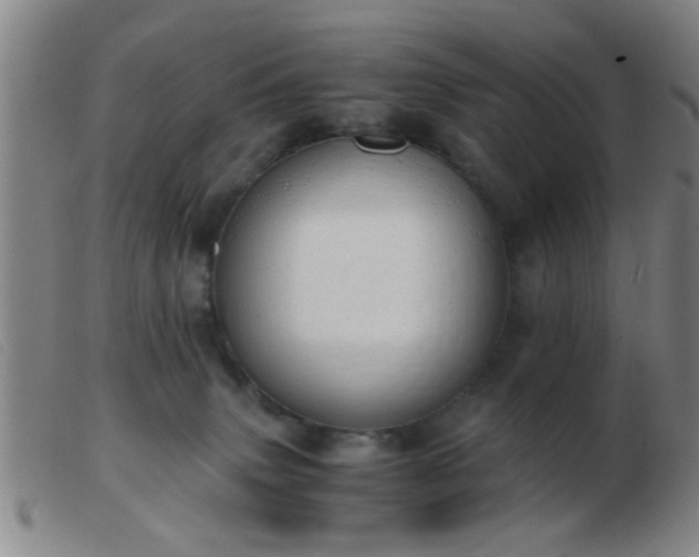 X0000103500083200809191955