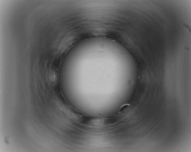 X0000103500084200809191955