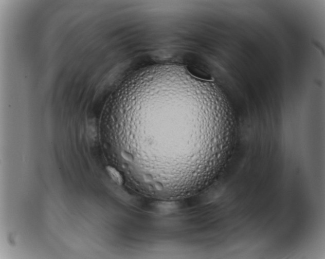 X0000103500085200809191955