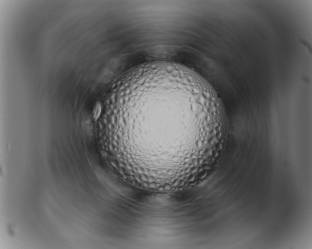 X0000103500086200809191955