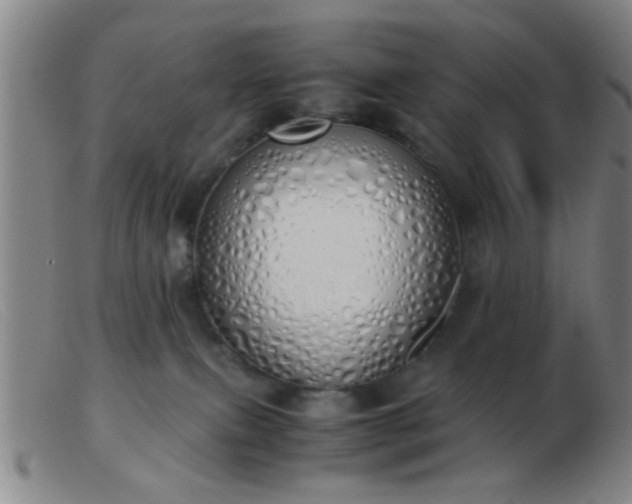 X0000103500087200809191955