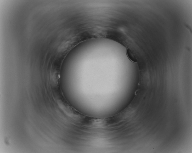 X0000103500088200809191955