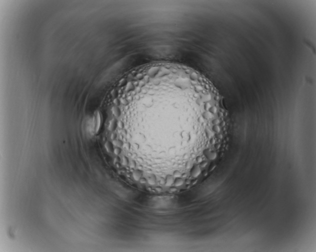 X0000103500089200809191955