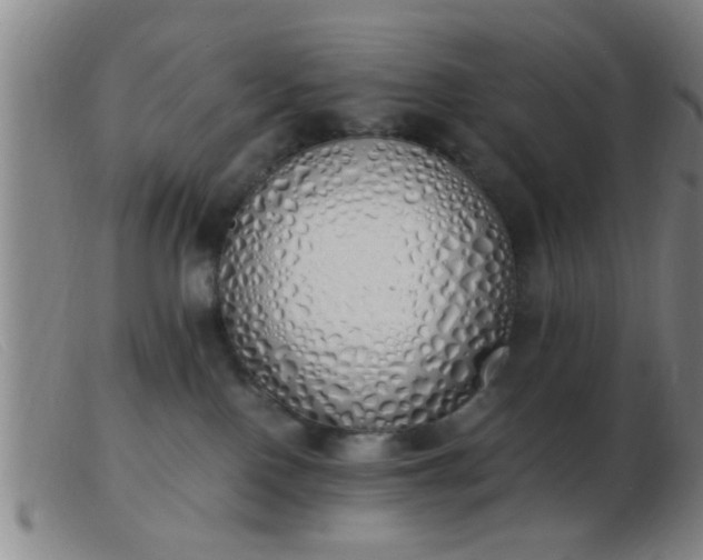 X0000103500090200809191955