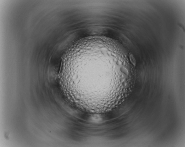 X0000103500091200809191955