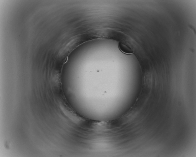 X0000103500092200809191955