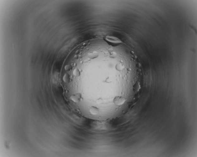 X0000103500093200809191955