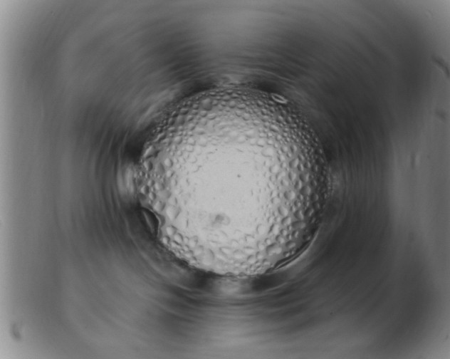 X0000103500094200809191955