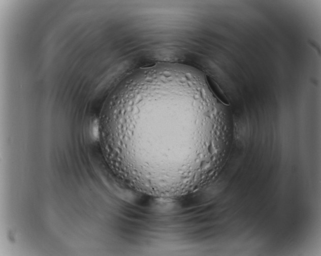 X0000103500095200809191955