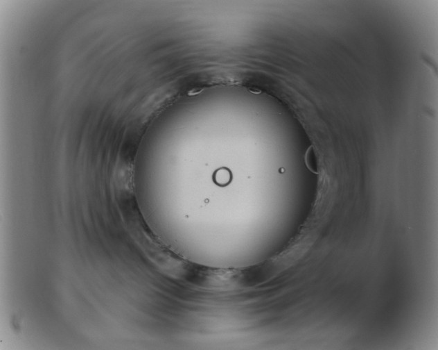 X0000103500096200809191955