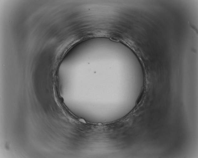 X0000103500097200809191955