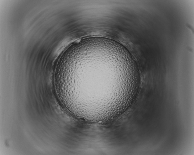 X0000103500098200809191954