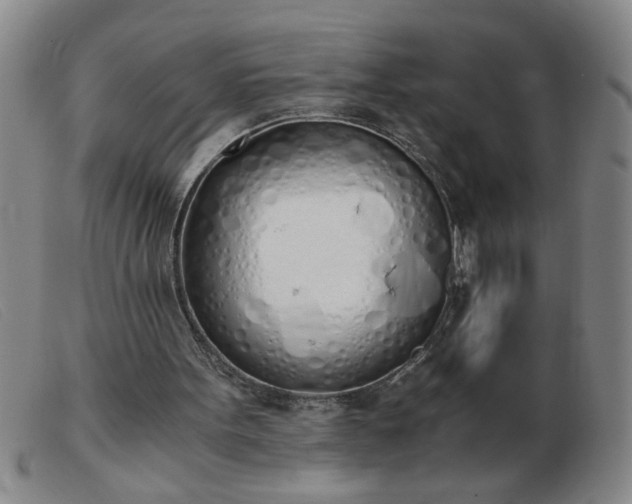 X0000103500099200809191954