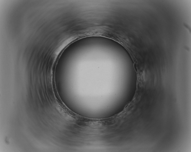 X0000103500100200809191954