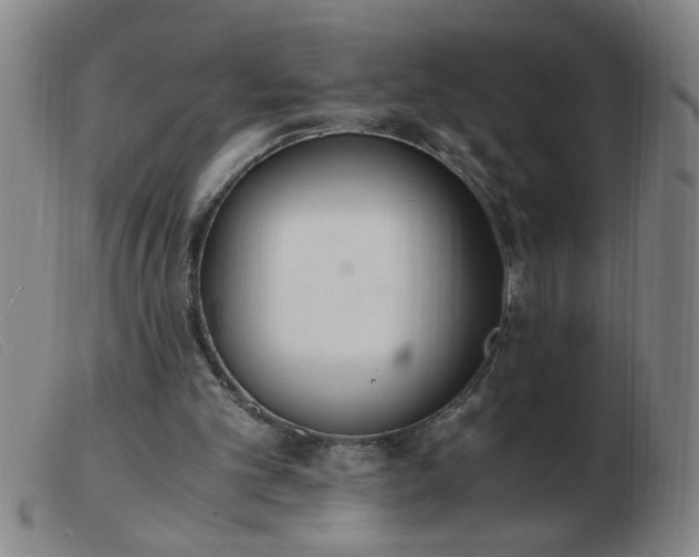 X0000103500101200809191954