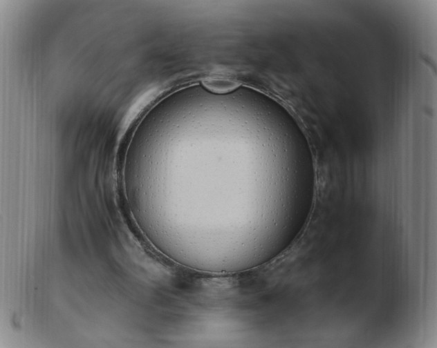 X0000103500102200809191954