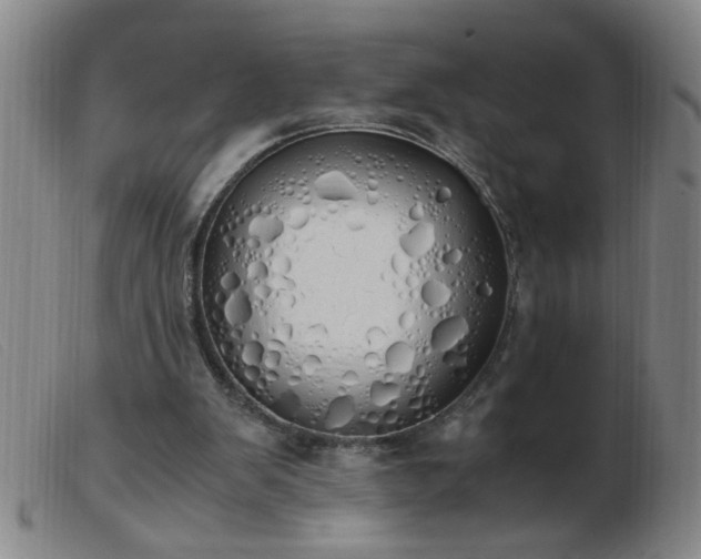 X0000103500103200809191954