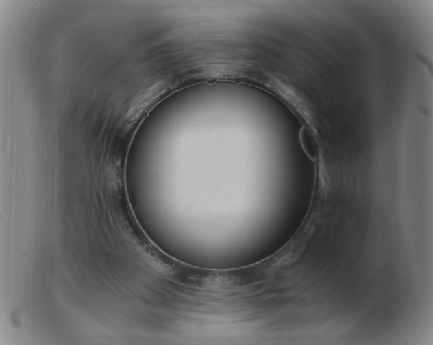 X0000103500105200809191954