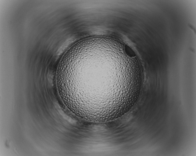 X0000103500106200809191954