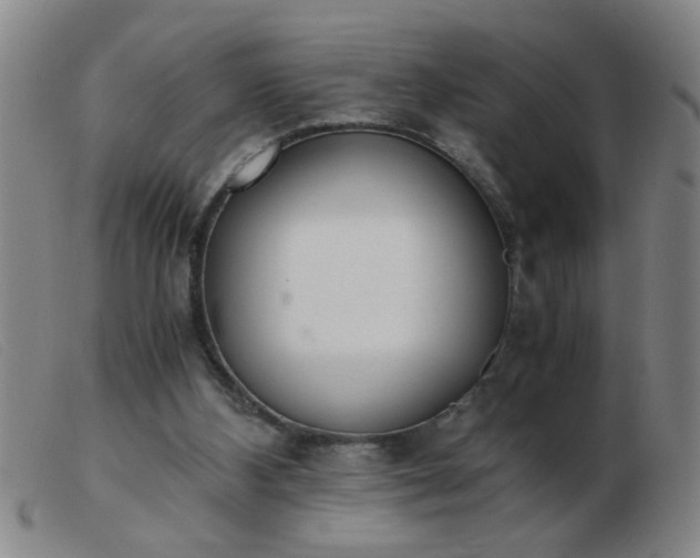 X0000103500108200809191954