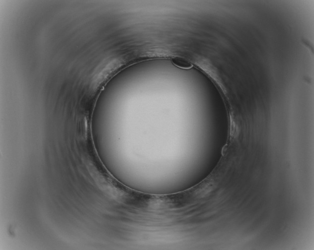 X0000103500109200809191954