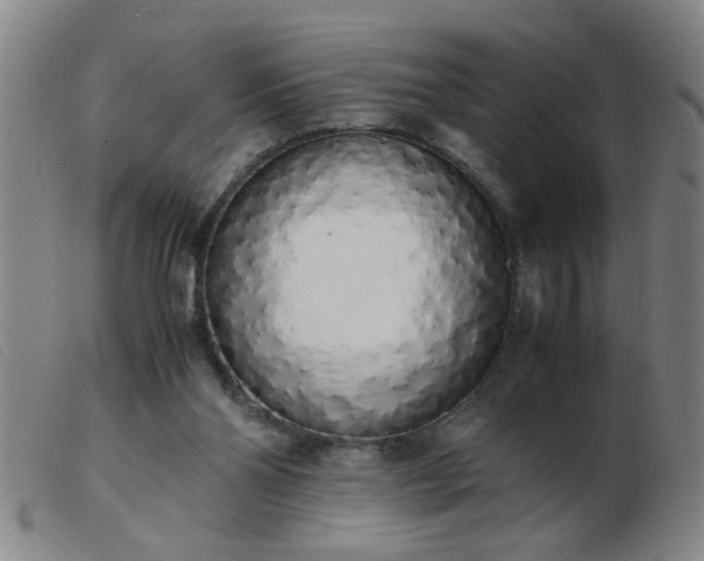 X0000103500110200809191954