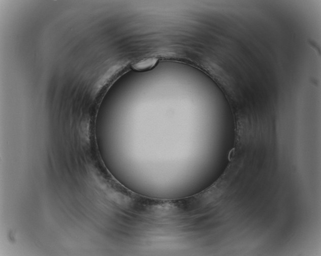 X0000103500112200809191954