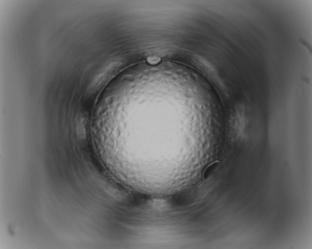 X0000103500114200809191954